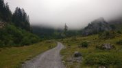 Image 14