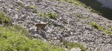 Image 14