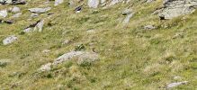 Image 67