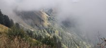 Image 14