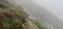 Image 14