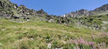Image 15