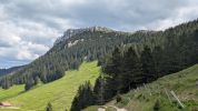 Image 14