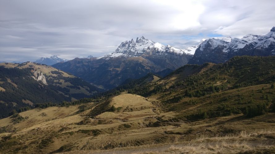 Main image