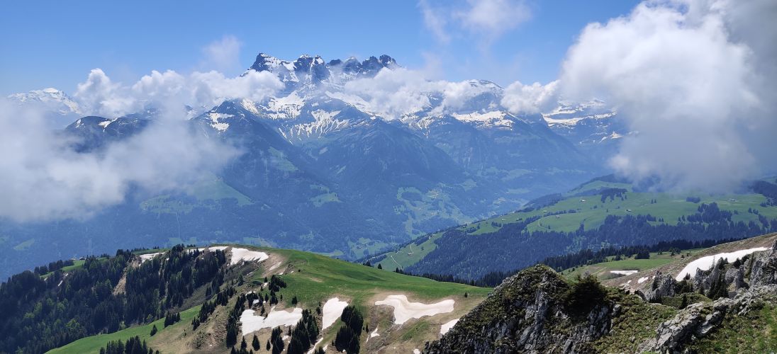 Main image