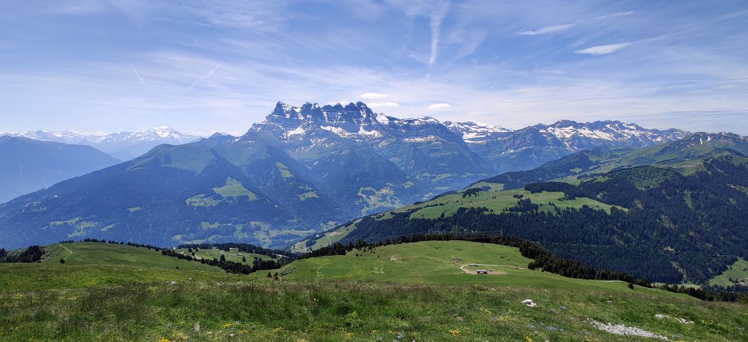Main image