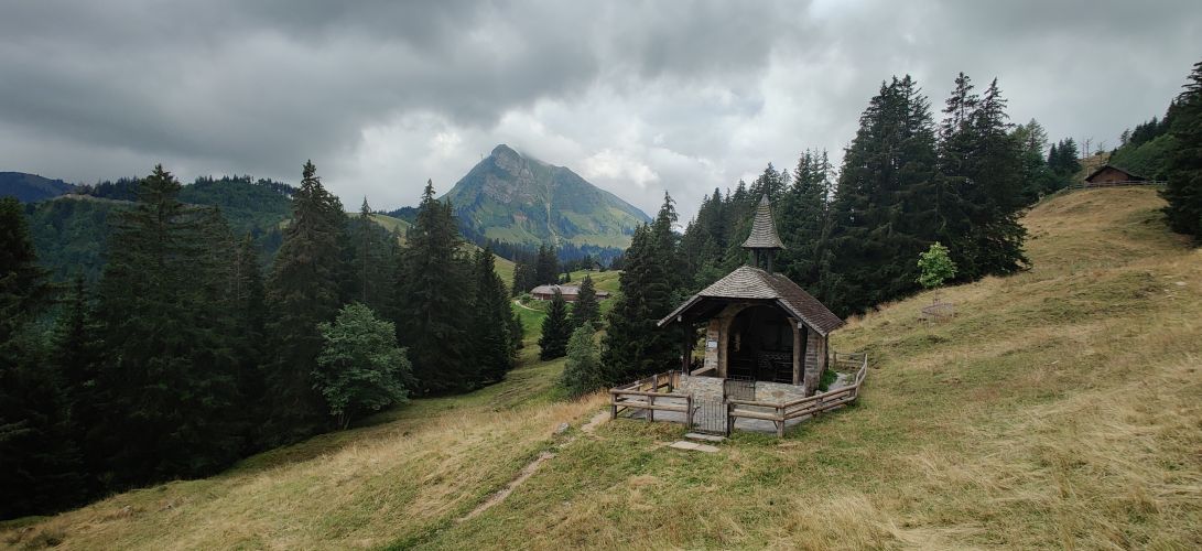 Main image