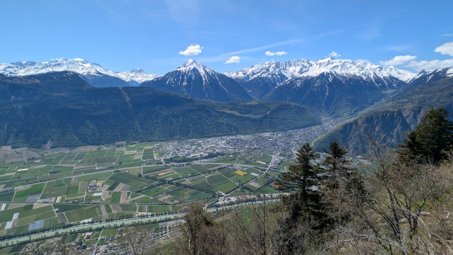 Main image