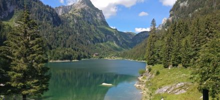 Lac de Taney