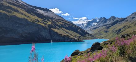 Lac Moiry - Glacier Moiry