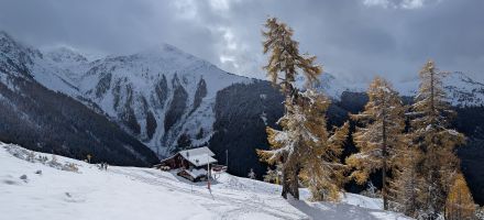 Nendaz - Tracouet - Mélèzes de Balavaux